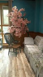 点击看大图 -星豆豆儿童摄影(南郊太白南路店)