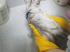 -派特宠物医院(圆融广场店)