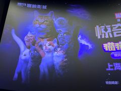 -寰映影城(大融城激光IMAX店)