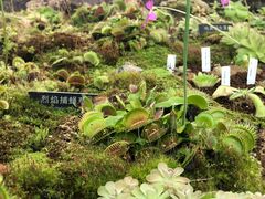 -国家植物园南园