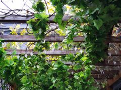 -秋果四合院酒店(北京王府井协和医院店)