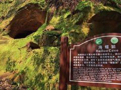 -缙云山景区
