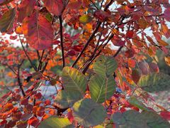 -青州市云门山风景区