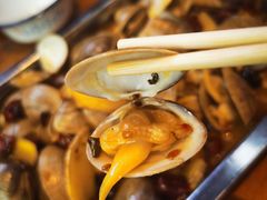 麻辣肥蛤-杨记玉喜龙虾肥蛤(文东店)