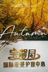 点击看大图 -宝馨月月子中心(友谊医院店)