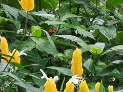 -北京植物园-展览温室