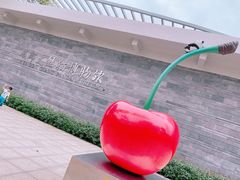 -成都大熊猫繁育研究基地