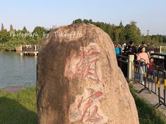-宁波杭州湾国家湿地公园