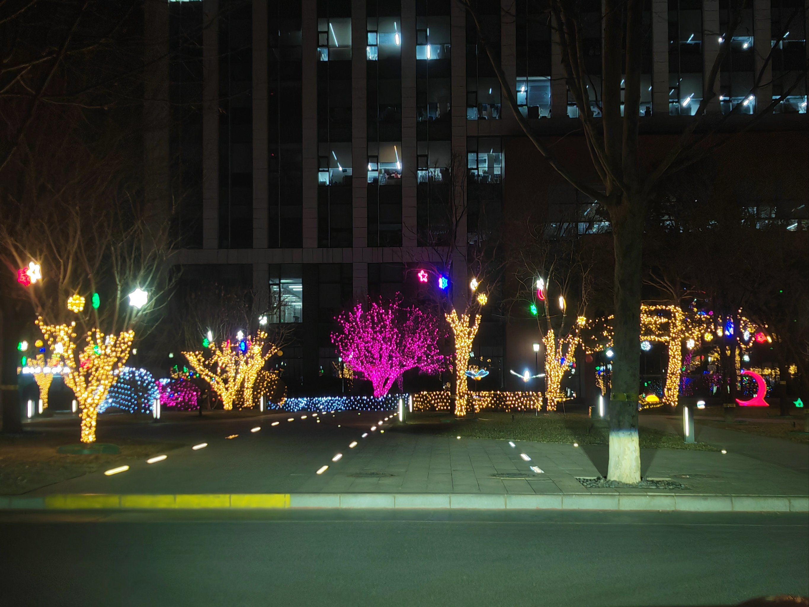 这灯光还真是可以,还有一个蝴蝶,也是惊喜啊,不现场看看,有点可惜