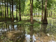 -西溪国家湿地公园