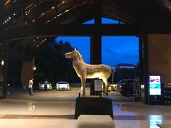 -三亚湾海居铂尔曼度假酒店