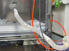 -达爱动物医院·犬猫分区·CT·复杂眼科(远洋山水分院)