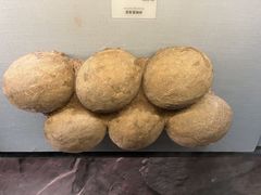 -湖南省地质博物馆