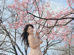 -上海植物园-4号门售票处