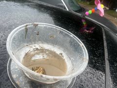 -鹰龙海畔度假酒店(咸祥店)
