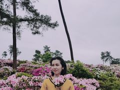 -南山植物园