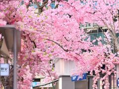 -首开·龙湖成都西宸天街