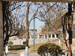 -花溪公园