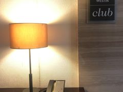 -广交会威斯汀酒店