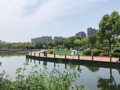 -院士公园