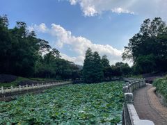-中山市树木园