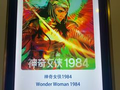 -红星电影世界上海张江绿地店