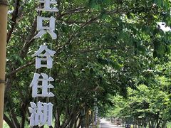 -长田漾湿地公园