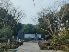 -东山雕花楼