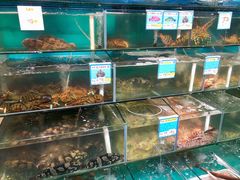 水产区-琼大师东方烤乳猪(亚特兰蒂斯店)