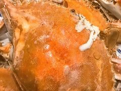 -北塘海鲜·天津菜(大光明桥旗舰店)