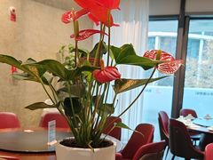 -老馆子·建德菜·山肴鱼鲜(海威新界店)