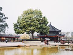 -广东圆玄道观