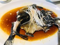 清蒸笋壳鱼-东海海鲜酒家(中信广场店)