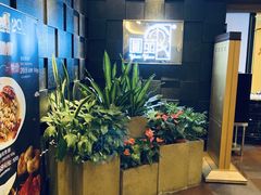 -圆苑(金茂店)