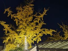 -月圆霖特色农家乐
