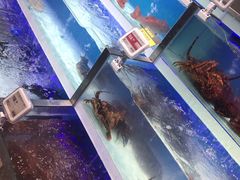 -盒马鲜生(枣园路店)