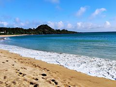 -日照海滨国家森林公园