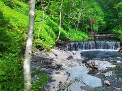 -凤凰山国家森林公园
