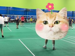 -锡才大羽羽毛球馆(深港花卉店)