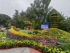 -南山植物园