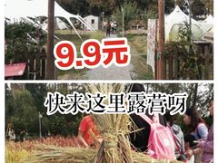 -前小桔亲子创意农场·草莓采摘·露营烧烤