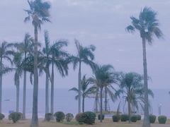 -椰风寨