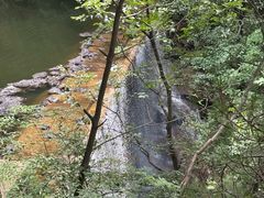 -内乡宝天曼生态旅游区