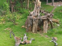 -太平洋海底世界