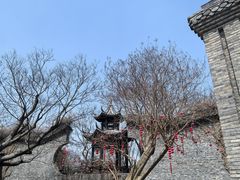 -朴园