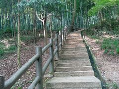 -上海佘山国家森林公园天马山园