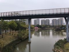 -王借岗森林公园
