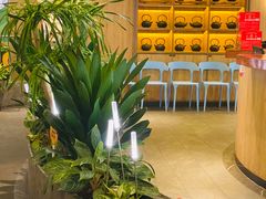 -润园四季椰子鸡火锅(南山海岸城店)