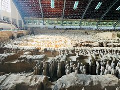 -秦始皇帝陵博物院(兵马俑)