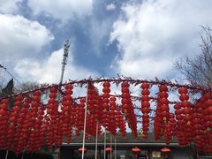 -北京植物园-展览温室